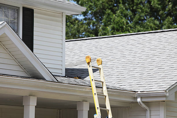 Affordable siding repair and maintenance services in Mira Monte, CA